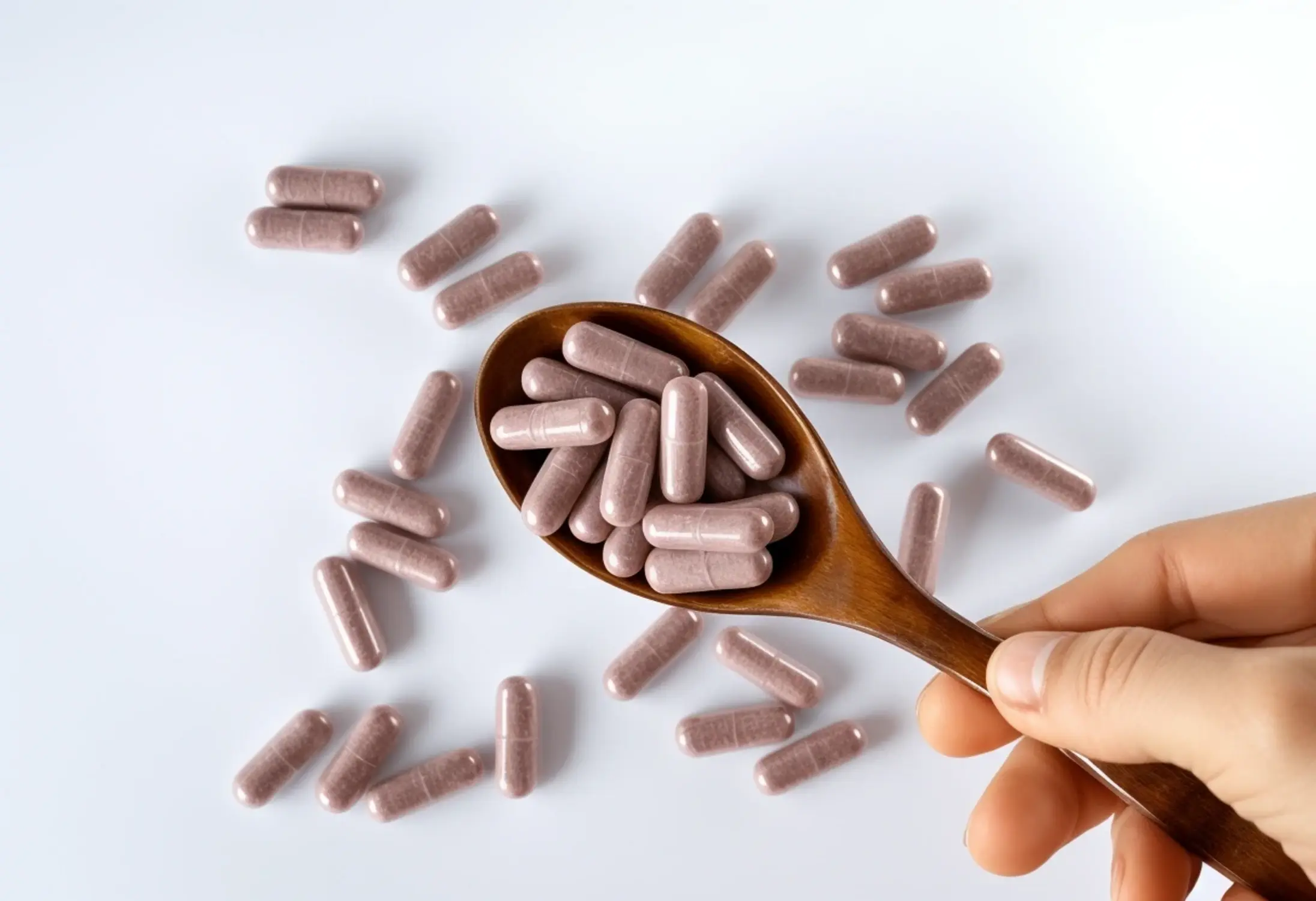 1-img-encapsulacion-probioticos-salud-mental